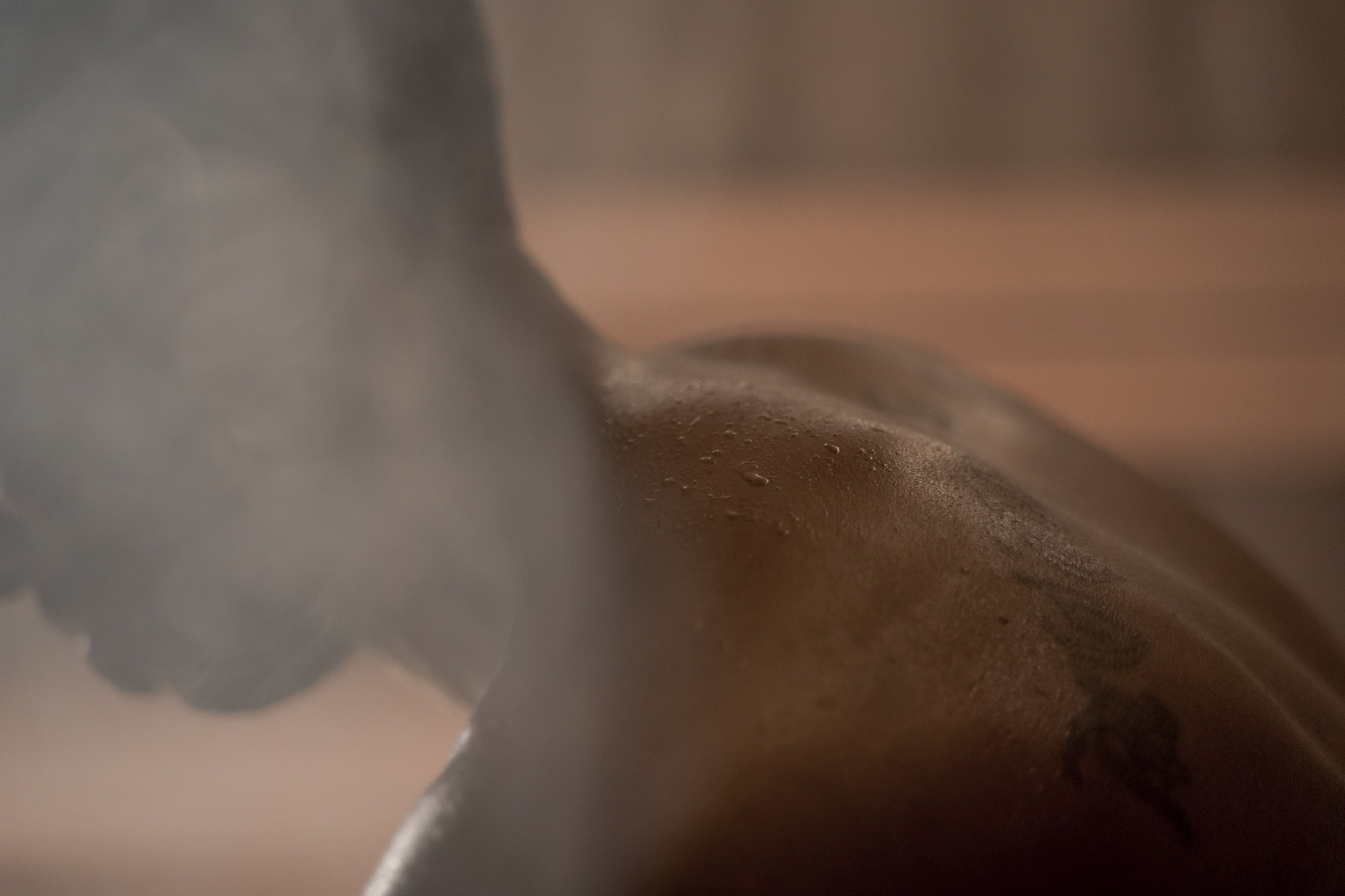 Sauna work in Windsor